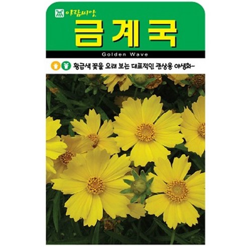 저스틴앤클로이 금계국500립 야생화종자, 3개