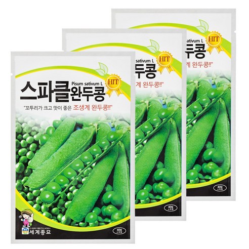 세계종묘 스파클 완두콩 40g, 3개