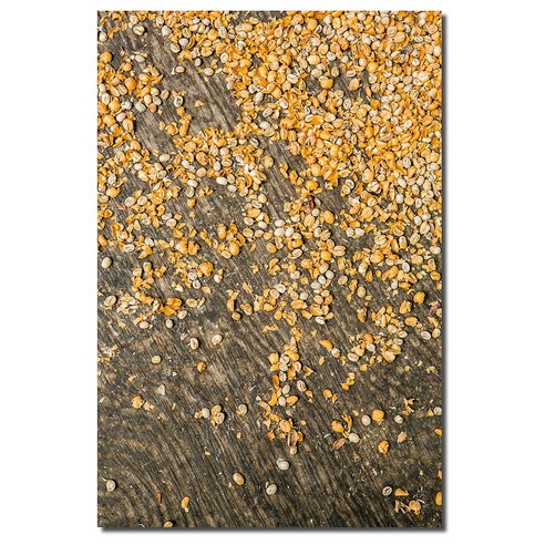 홈인테리어 액자 포토그래퍼 오재영의 세계여행 사진 콜렉션, art no. 260