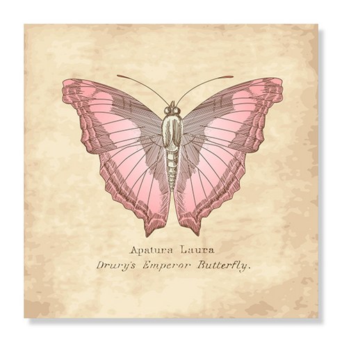 디아섹액자 벽걸이및테이플용, Vintage Butterfly