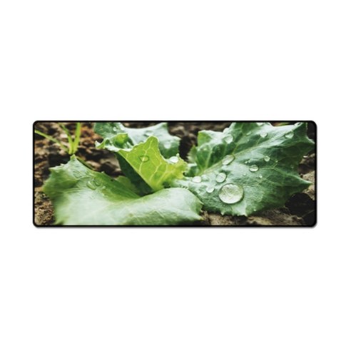 더파슬리 보테니컬 스퀘어 데스크매트 와이드사이즈 80 x 30 cm, GM77538, 1개