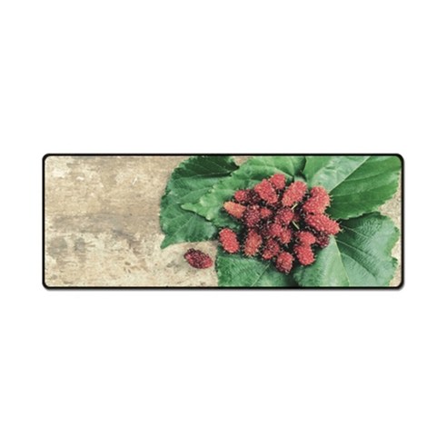 더파슬리 보테니컬 스퀘어 데스크매트 와이드사이즈 80 x 30 cm, GM77534, 1개