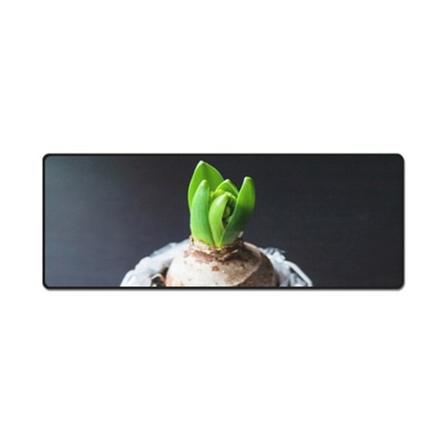 더파슬리 보테니컬 스퀘어 데스크매트 와이드사이즈 80 x 30 cm, GM77597, 1개