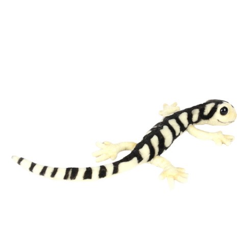 한사토이 동물인형 5228 도롱뇽 Bulldog Salamander, 4cm, 혼합 색상