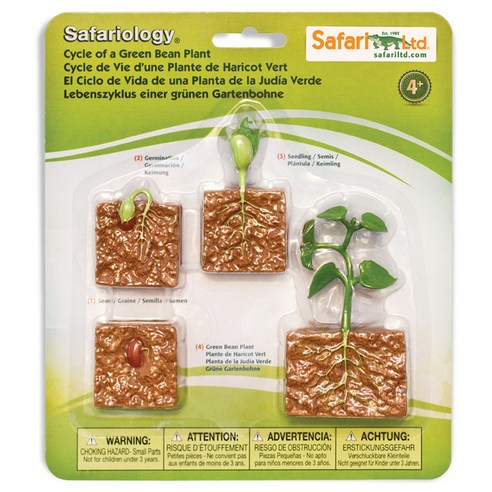 사파리엘티디 피규어 662416 콩의생장과정 Life Cycle of a Green Bean Plant, 1개
