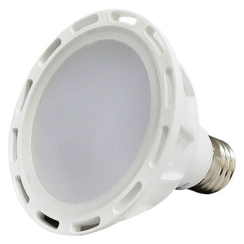 룩스램 LED PAR30 15W 확산형, 주광색, 1개