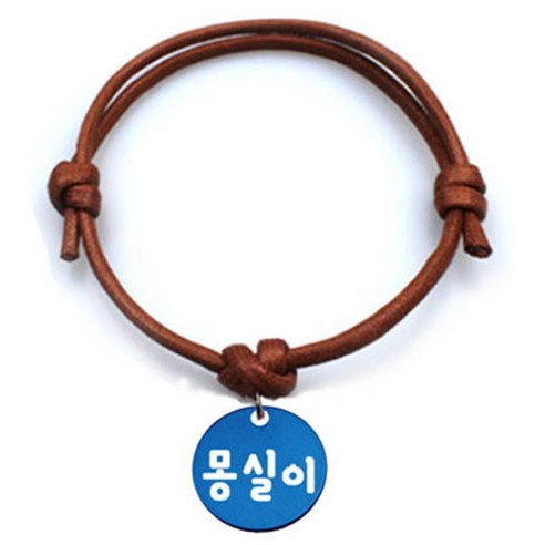 펫츠룩 굿모닝 카라멜 반려동물 목걸이 S 알미늄원형 팬던트 M, 블루(몽실이), 1개