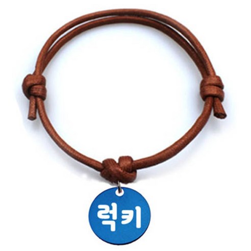펫츠룩 반려동물 굿모닝 카라멜 목걸이S 원형블루S, 럭키, 1개