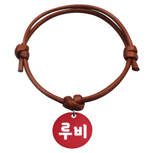 펫츠룩 굿모닝 카라멜 반려동물 목걸이 S 알미늄원형 팬던트 M, 레드(루비), 1개