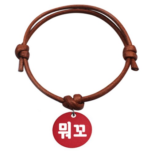 펫츠룩 굿모닝 카라멜 반려동물 목걸이 S 알미늄원형 팬던트 S, 레드(뭐꼬), 1개