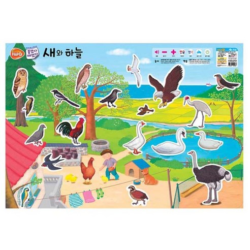 비앤씨 붙였다떼었다 AR 증강현실 학습카드 시리즈, 새와하늘, 1개