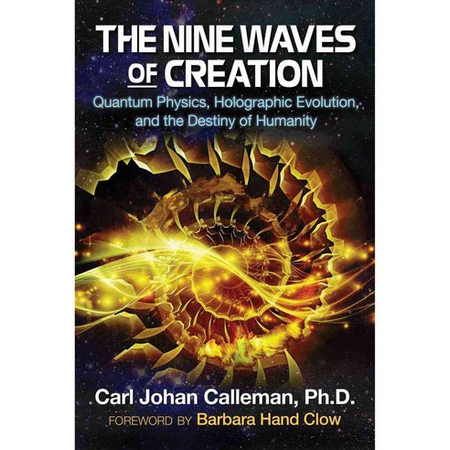 The Nine Waves of Creation: Quantum Physics Holographic Evolution and the Destiny of Humanity, Bear & Co