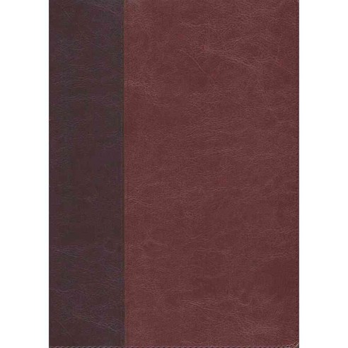 Every Man''s Bible: New Living Translation Brown & Tan, Tyndale House Pub