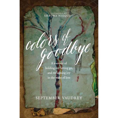 Colors of Goodbye: A Memoir of Holding On Letting Go and Reclaiming Joy in the Wake of Loss, Tyndale Momentum