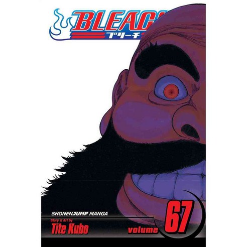 Bleach 67, Viz