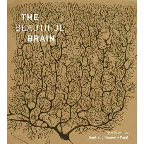 The Beautiful Brain: The Drawings of Santiago Ramon Y Cajal, Harry N Abrams Inc