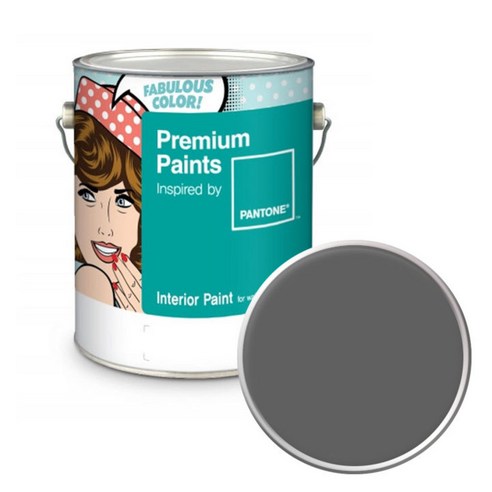 노루페인트 팬톤 내부용 실내 벽면 무광 페인트 4L, 18-0601 Charcoal Gray