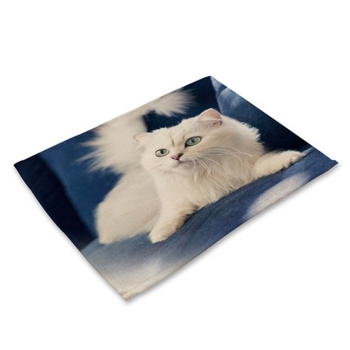 비케이 고양이 사진 식탁매트, 1, 가로 42cm x 세로 32cm