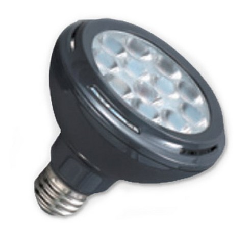 시그마램프 LED PAR30 램프 15W 집중형 E26, 주광색, 1개