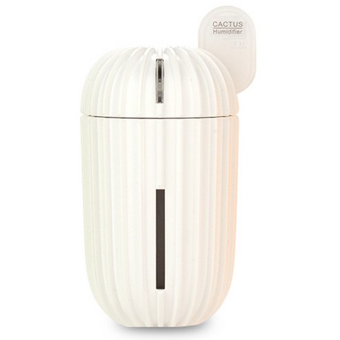 아이콘 LED 선인장 USB 미니가습기, IKON PLUS 2001 (화이트)