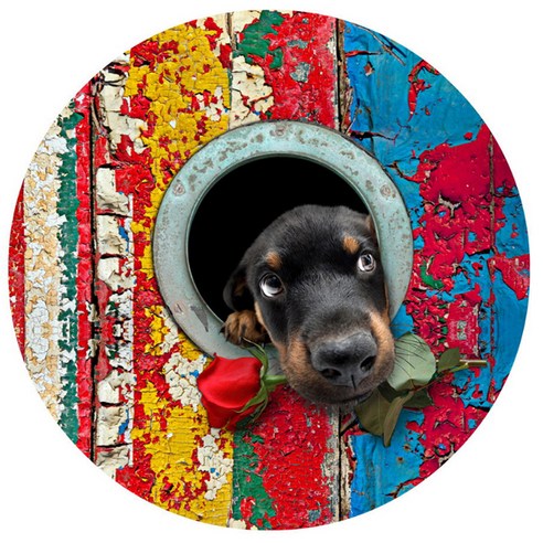 리빙팝 귀염둥이 강아지 원형매트, 3 type