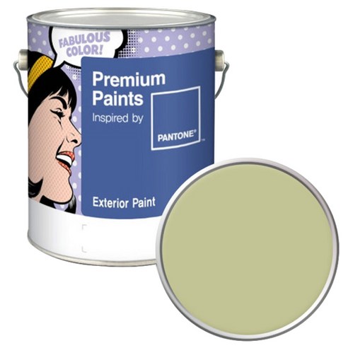 노루페인트 팬톤 외부용 실외 무광 페인트 4L, 13-0522 Pale Green