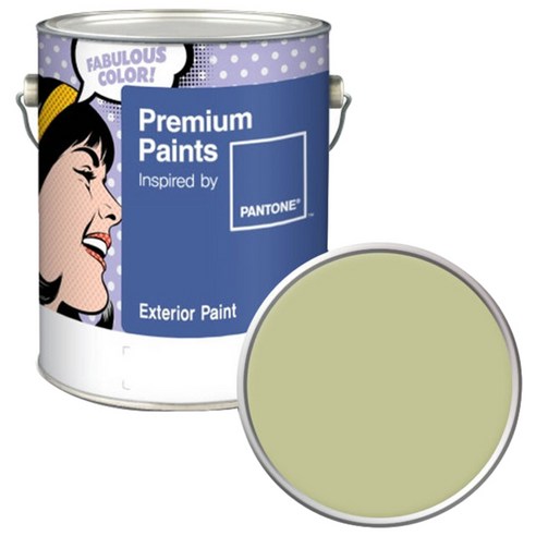 노루페인트 팬톤 외부용 실외 저광 페인트 4L, 13-0522 Pale Green