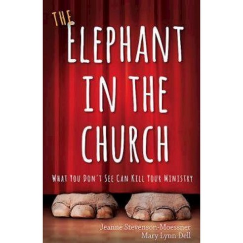 The Elephant in the Church: What You Don''t See Can Kill Your Ministry Paperback, Abingdon Press