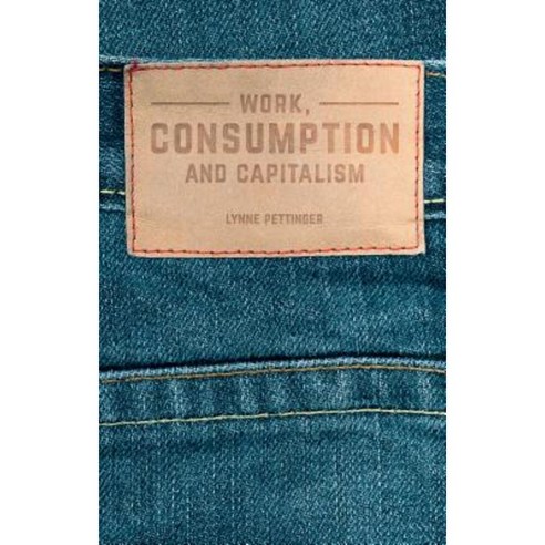 Work Consumption and Capitalism Hardcover, Palgrave