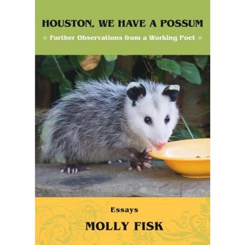 Houston We Have a Possum: Further Observations from a Working Poet Paperback, Story Street Press