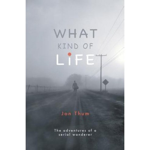 What Kind of Life: The Adventures of a Serial Wanderer Paperback, What Kind of Books