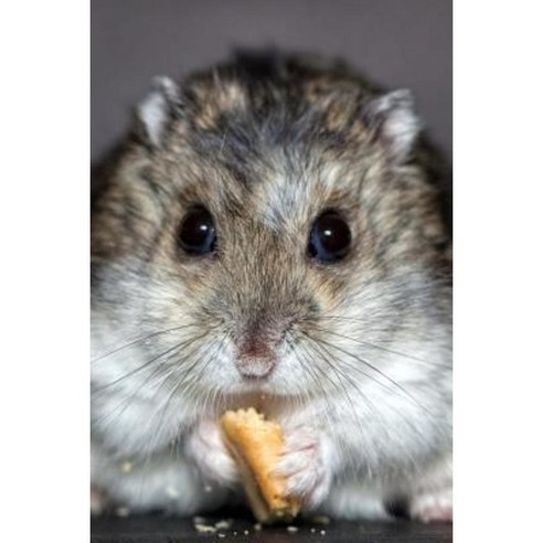 Darling Dwarf Hamster Nibbling a Cracker Portrait Pet Journal: 150 Page ...