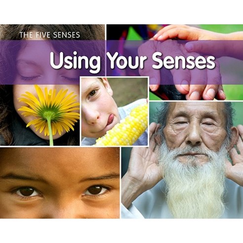 Using Your Senses Library Binding, Heinemann Educational Books