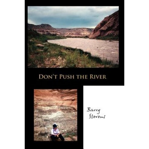 Don''t Push the River Paperback, Gestalt Journal Press