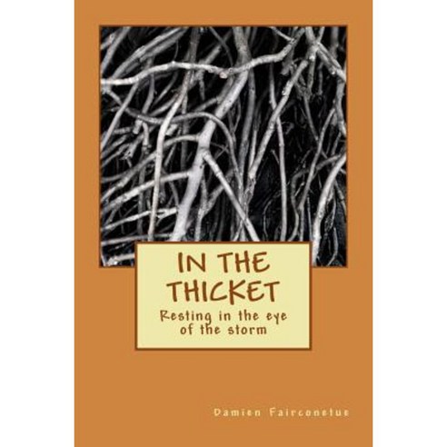 In the Thicket Paperback, Createspace Independent Publishing Platform