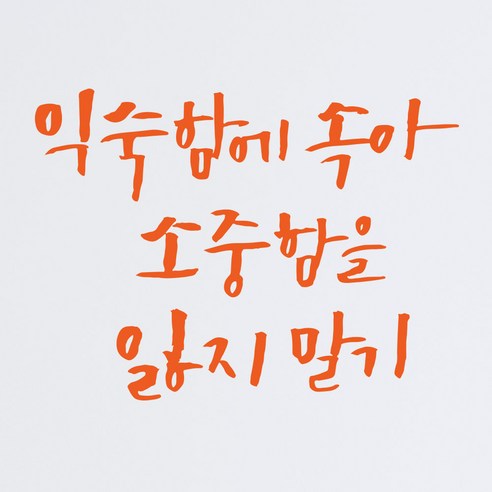 1AM 캘리그라피 인테리어 포인트 스티커 익숙함에 속아, 주황