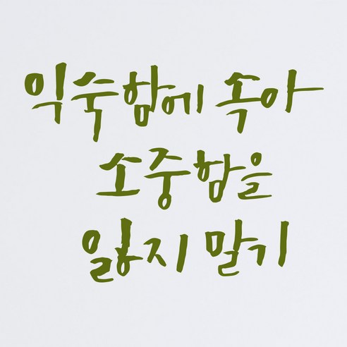 1AM 캘리그라피 인테리어 포인트 스티커 익숙함에 속아, 올리브
