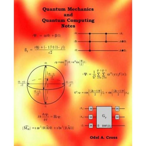 Quantum Mechanics and Quantum Computing Notes Paperback, Createspace Independent Publishing Platform