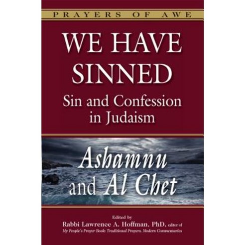 We Have Sinned: Sin and Confession in Judaism--Ashamnu and Al Chet Paperback, Jewish Lights Publishing