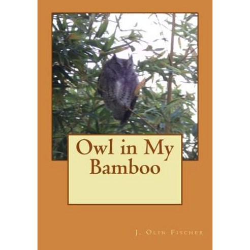 Owl in My Bamboo Paperback, Createspace Independent Publishing Platform