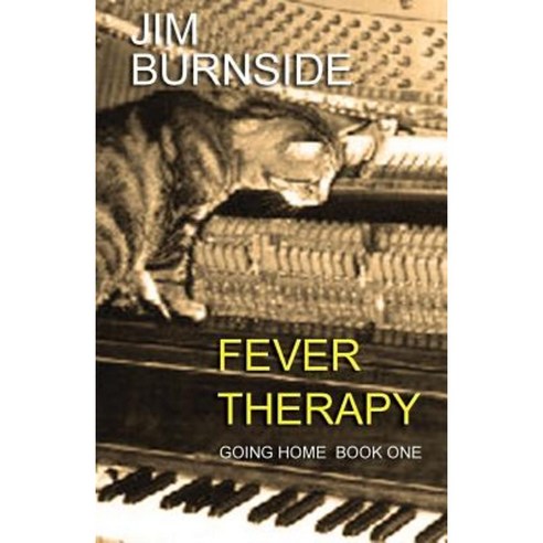Fever Therapy Paperback, Jim Burnside Associates Ltd