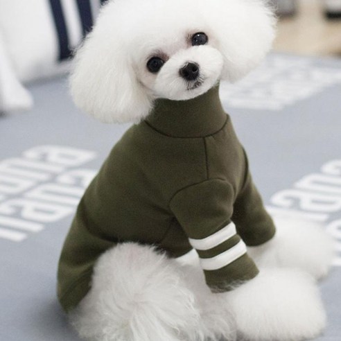 아이앤엘인스퍼레이션 강아지 폴라 티셔츠, 카키