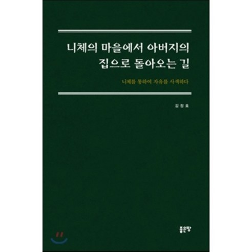 니체의 마을에서 아버지의 집으로 돌아오는 길 : 니체를 통하여 자유를 사색하다, 좋은땅, 김정효 저