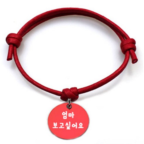 펫츠룩 반려동물 굿모닝 레드 목걸이 S + 알미늄 원형 팬던트 S, 레드(엄마 보고 싶어요), 1개