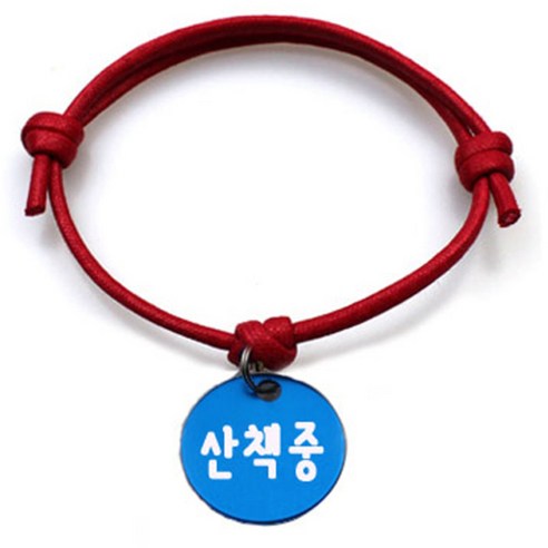 펫츠룩 굿모닝 레드 반려동물 목걸이 S + 알미늄 원형 팬던트 M, 블루(산책중), 1개
