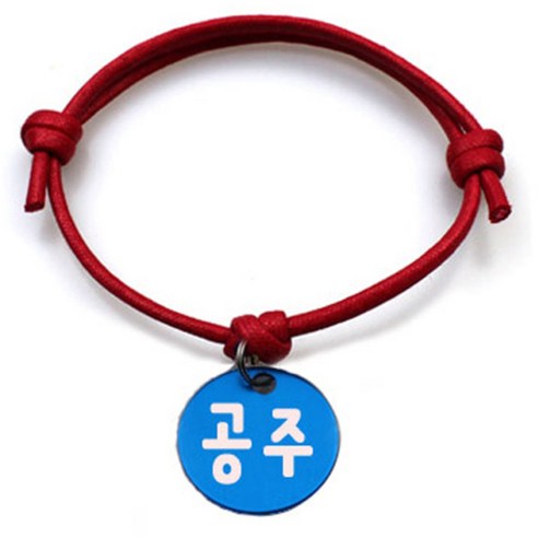 펫츠룩 굿모닝 레드 반려동물 목걸이 S + 알미늄 원형 팬던트 M, 블루(공주), 1개