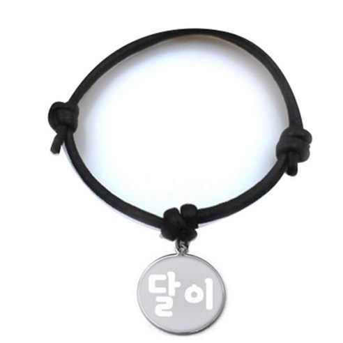 펫츠룩 굿모닝 블랙 반려동물 목걸이 S + 메탈원형 팬던트 S, 실버(달이), 1개