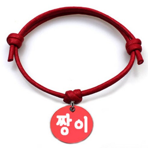 펫츠룩 굿모닝 레드 반려동물 목걸이 M + 알미늄 원형 팬던트 S, 레드(짱이), 1개