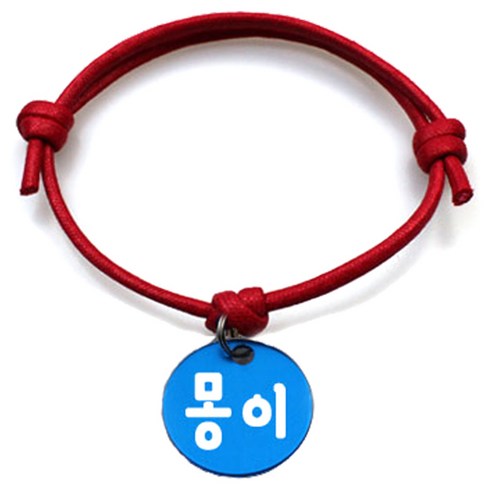펫츠룩 굿모닝 레드 반려동물 목걸이 M + 알미늄원형 팬던트 S, 블루(몽이), 1개