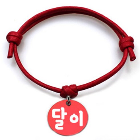 펫츠룩 굿모닝 레드 반려동물 목걸이 M + 알미늄 원형 팬던트 S, 레드(달이), 1개